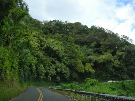 Descubriendo la naturaleza de Maui: Camino a Hana