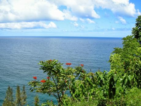 Descubriendo la naturaleza de Maui: Camino a Hana