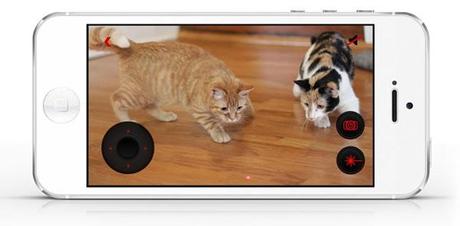 Petcube :: la compañía perfecta para tu mascota Petcube :: la compañía perfecta para tu mascota