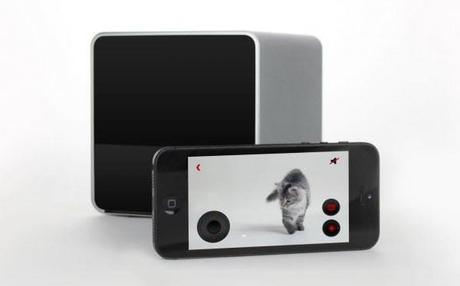 Petcube :: la compañía perfecta para tu mascota Petcube :: la compañía perfecta para tu mascota