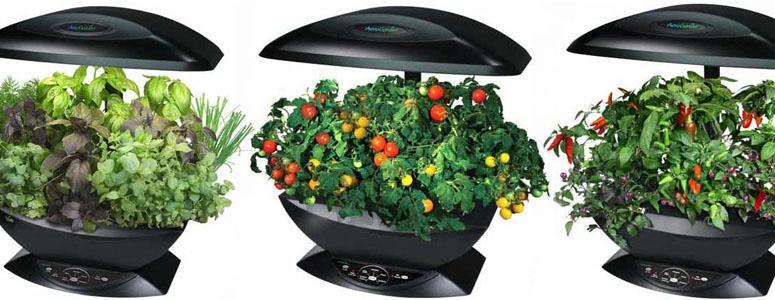 aerogarden