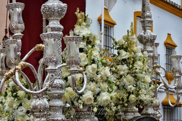 Fotografías de la Romería de la Divina Pastora de Cantillana 2013