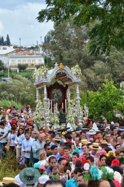 Fotografías de la Romería de la Divina Pastora de Cantillana 2013