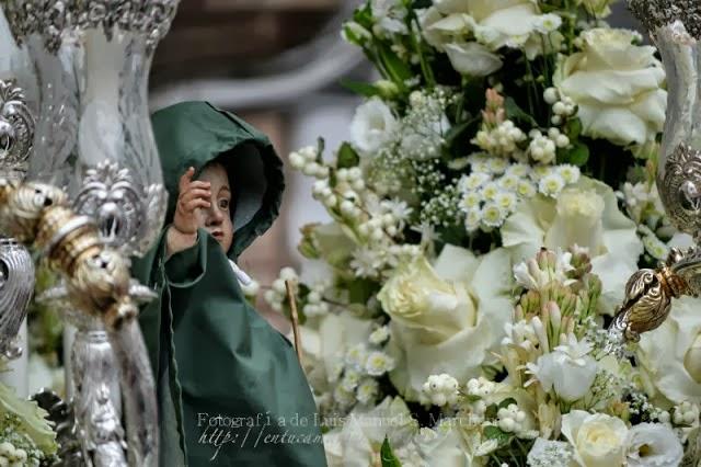 Fotografías de la Romería de la Divina Pastora de Cantillana 2013