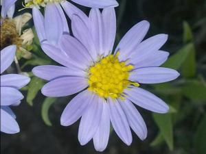 COLORES DE LA NATURALEZA 016 megustaelmedionatural