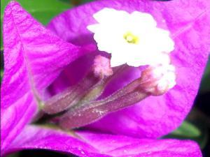 COLORES DE LA NATURALEZA 014 megustaelmedionatural