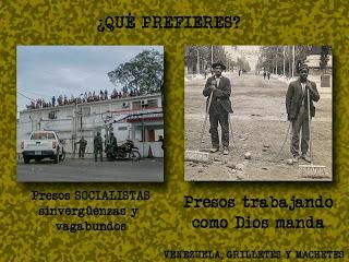 Los Centros Penitenciarios deben ser educativos no un gasto social