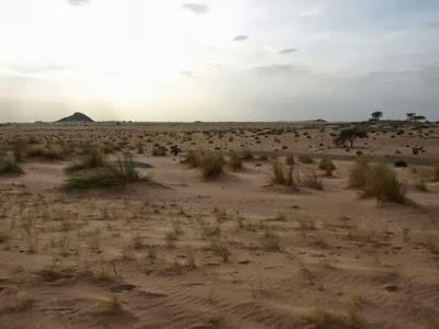 El verso y la tierra