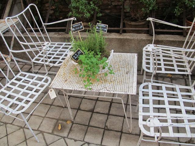 Un oasis en la ciudad....... Federica & co