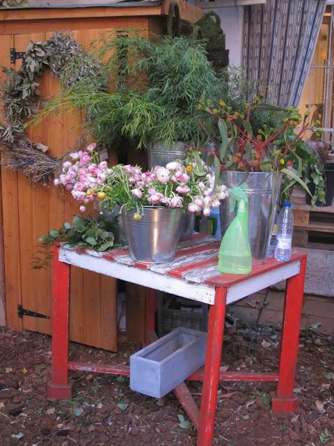 Un oasis en la ciudad....... Federica & co