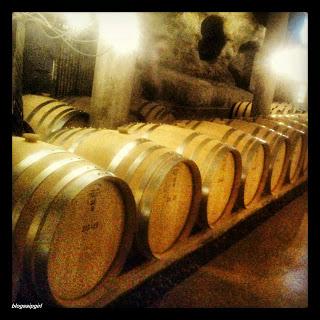 S. HA ESTADO ALLI: BODEGAS VIÑAS DEL VERO (BARBASTRO - HUESCA)