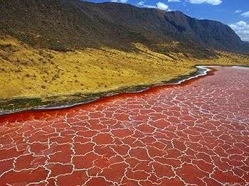 Natrón, el escalofriante lago que petrifica