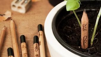 Sprout Pencil :: lápices con semillas listas para germinar