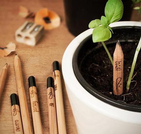 Sprout Pencil :: lápices con semillas listas para germinar