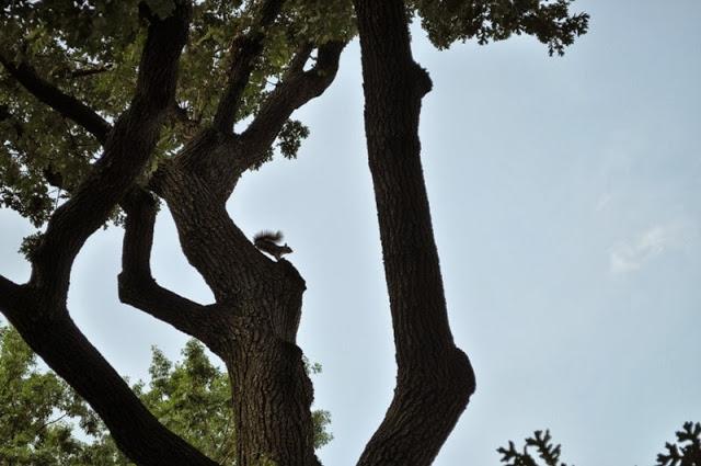 un paseo por Nueva York (IV y ultima)