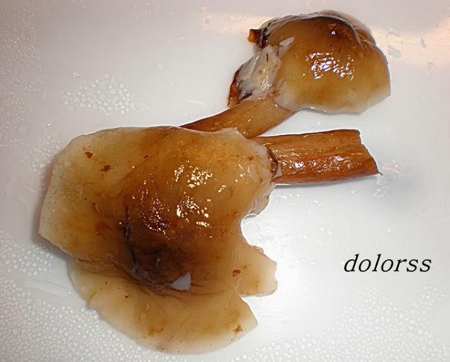 Longaniza con tomate y setas de melocotonero