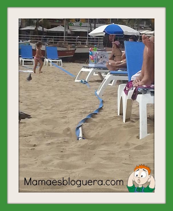 hamster en la playa