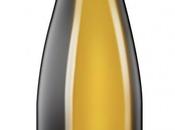 Ruta alemana vino: Descubre palatinado