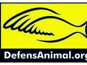 Crisis, víctimas verdugos