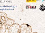 restauración obras arte Bioquímica (Madrid)