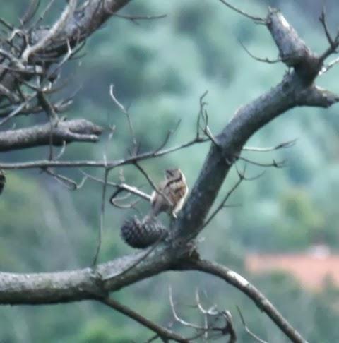 Buen fin de semana de migración