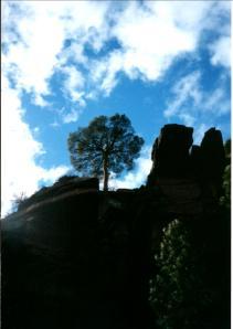 ALBARRACIN  CAMINO PINTURAS RUPESTRES megustaelmedionatural