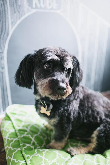 Wedd Planner Studio, nos colamos en un espacio creativo