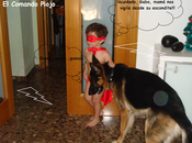 Conversaciones Piojo: seño,mamá!