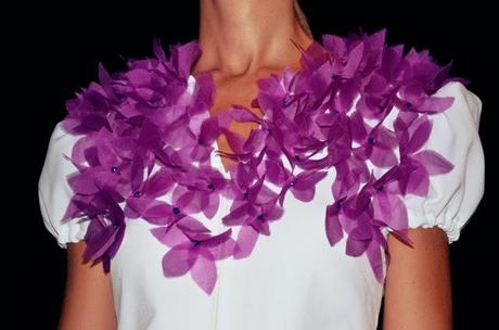 PONMO Desfile PONMO Desfile