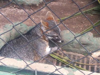 El Zoológico Nacional de La Aurora