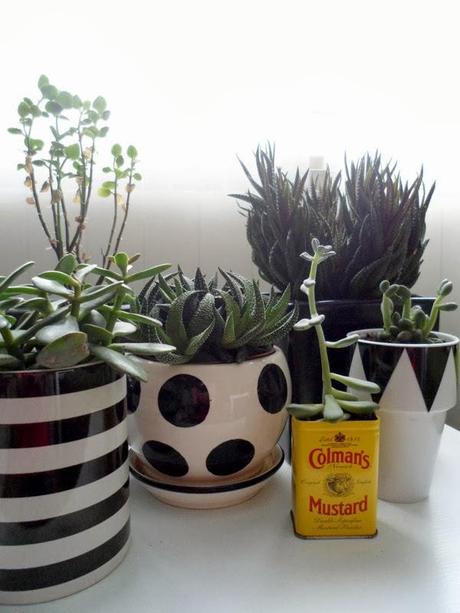 OPERACIÓN MAKEOVER: ALGUNAS ACTUALIZACIONES DEL SALÓN