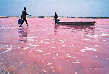 lago2 (FILEminimizer)