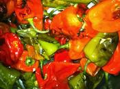 Perfumes, aromas ollas