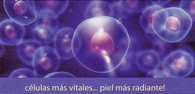 NI FLACCIDEZ, NI ARRUGAS