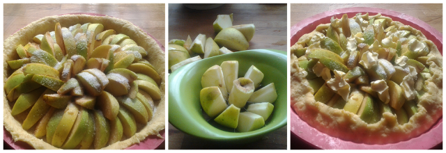 GALLETE DE MANZANA .....