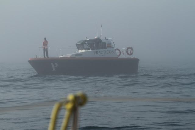 ORCAS EN EL ESTRECHO DE GIBRALTAR, LOS GUARDIANES DE LA ATLANTIDA