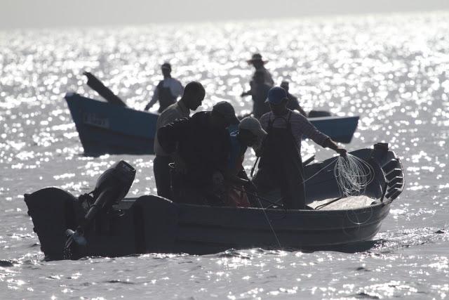 ORCAS EN EL ESTRECHO DE GIBRALTAR, LOS GUARDIANES DE LA ATLANTIDA