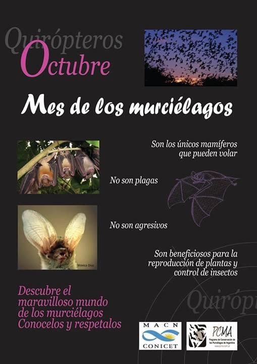 Octubre: Mes de los Murciélagos en el MACN (BsAs, Argentina)