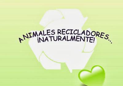 3 Animales que cumplen con las Tres Erres