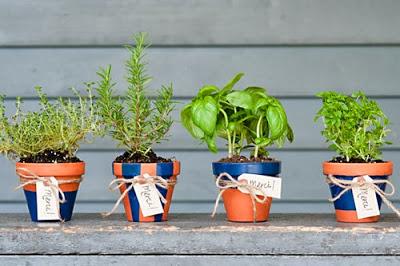 DIY... cómo decorar macetas