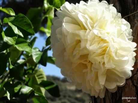 boda con encanto charming wedding