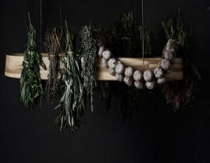 5 La deshidratación como una nueva técnica para decorar