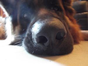 Foto de @Perenquen23