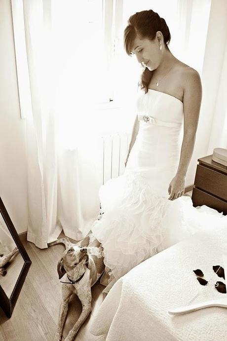 LA BODA DE MIS AMIGOS JAVIER Y BELÉN