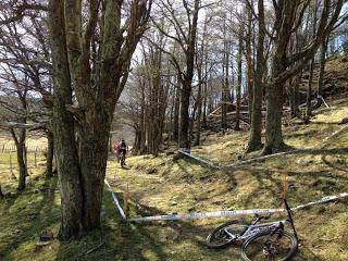 TODO DISPUESTO PARA LA CUARTA FECHA DEL CAMPEONATO AUSTRAL DE MOUNTAINBIKE