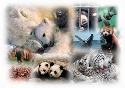 EL DÍA MUNDIAL DE LOS ANIMALES