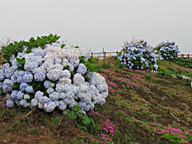 Isla de Jeju - Parte I