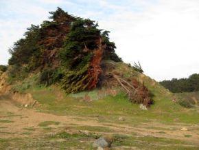 Mochileando por Chile. Día 9: Murales de Valparaiso y Playa de Quintay.