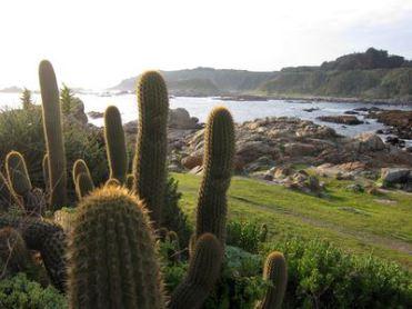Mochileando por Chile. Día 9: Murales de Valparaiso y Playa de Quintay.