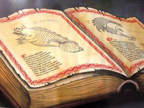 Mochileando por Chile. Día 9: Murales de Valparaiso y Playa de Quintay.